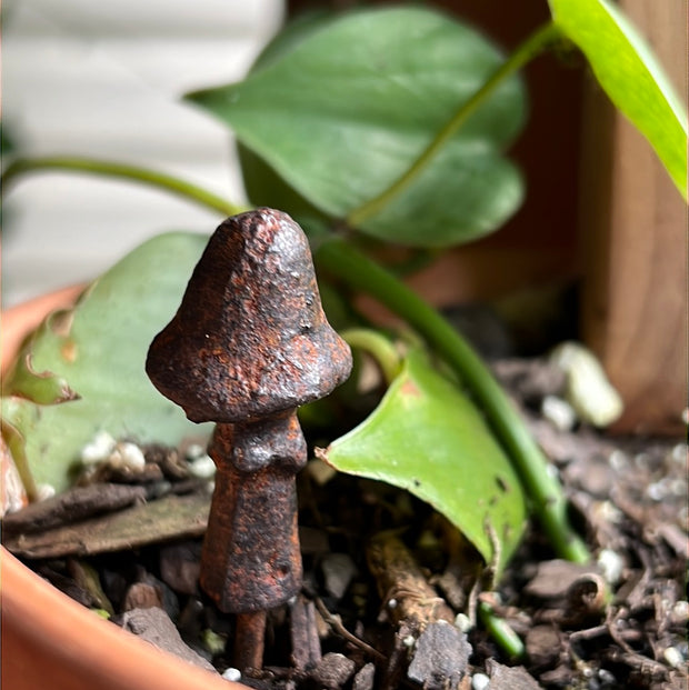 Mini Cast Iron Mushroom Pick