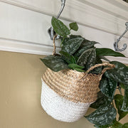 Seagrass Basket - 8 in
