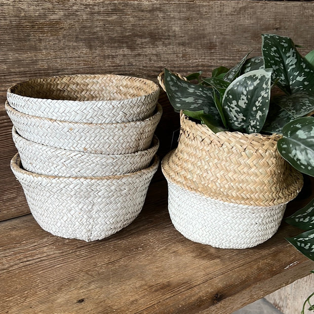 Seagrass Basket - 8 in