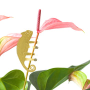 Plant Animal Decoration - Chameleon
