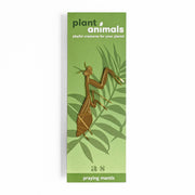 Plant Animal Houseplant Decoration - Praying Mantis