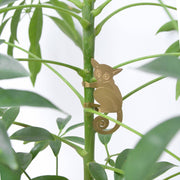 Plant Animal hanging decoration - Bush Baby