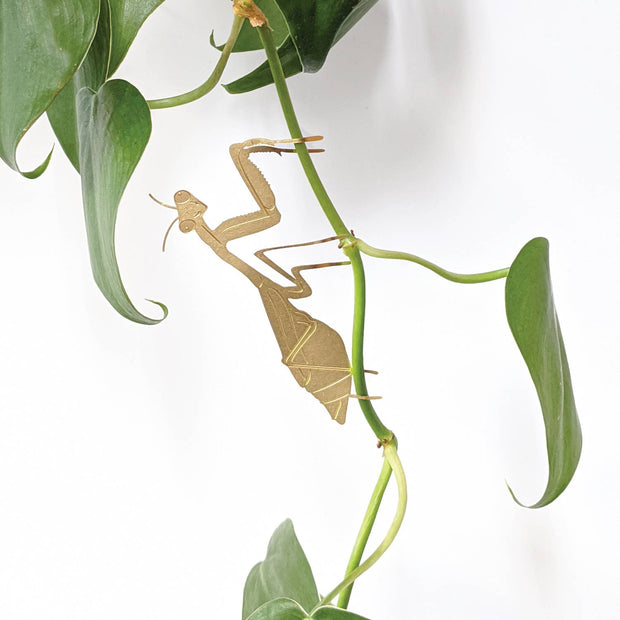 Plant Animal Houseplant Decoration - Praying Mantis